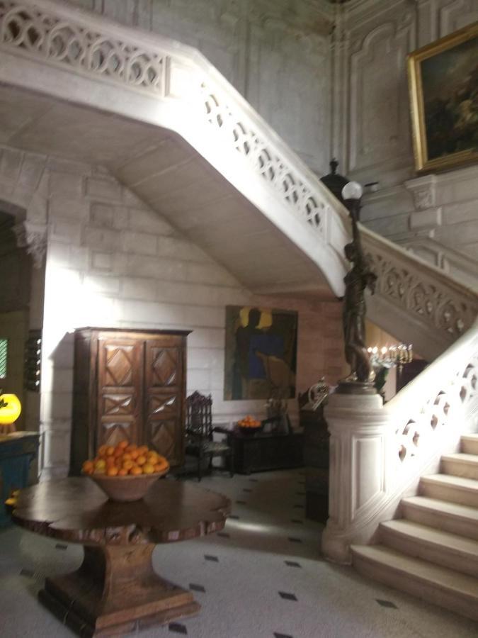 Chateau-Hotel De Nieuil Exteriér fotografie